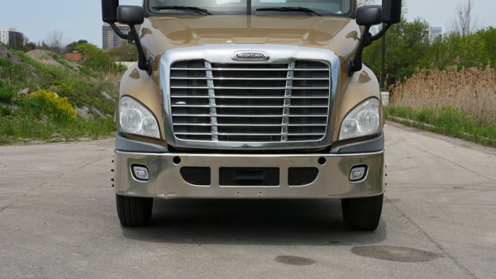 2013 Freightliner CASCADIA, photo 3